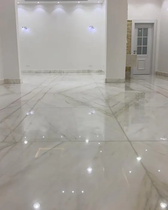 قصر فاخر للبيع في بريدة حي النهضة 6